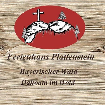 Ferienhaus Plattenstein Kirchberg  Bagian luar foto