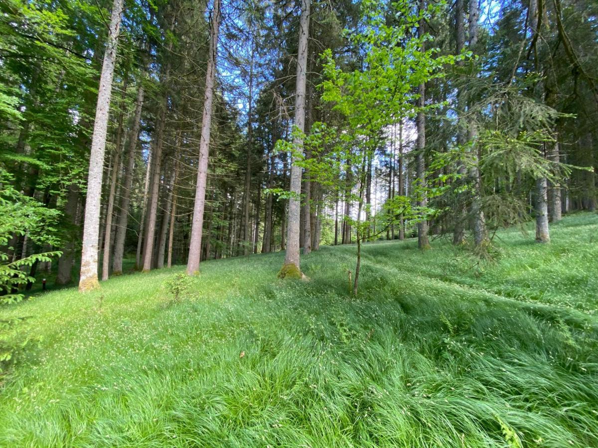 Ferienhaus Plattenstein Kirchberg  Bagian luar foto